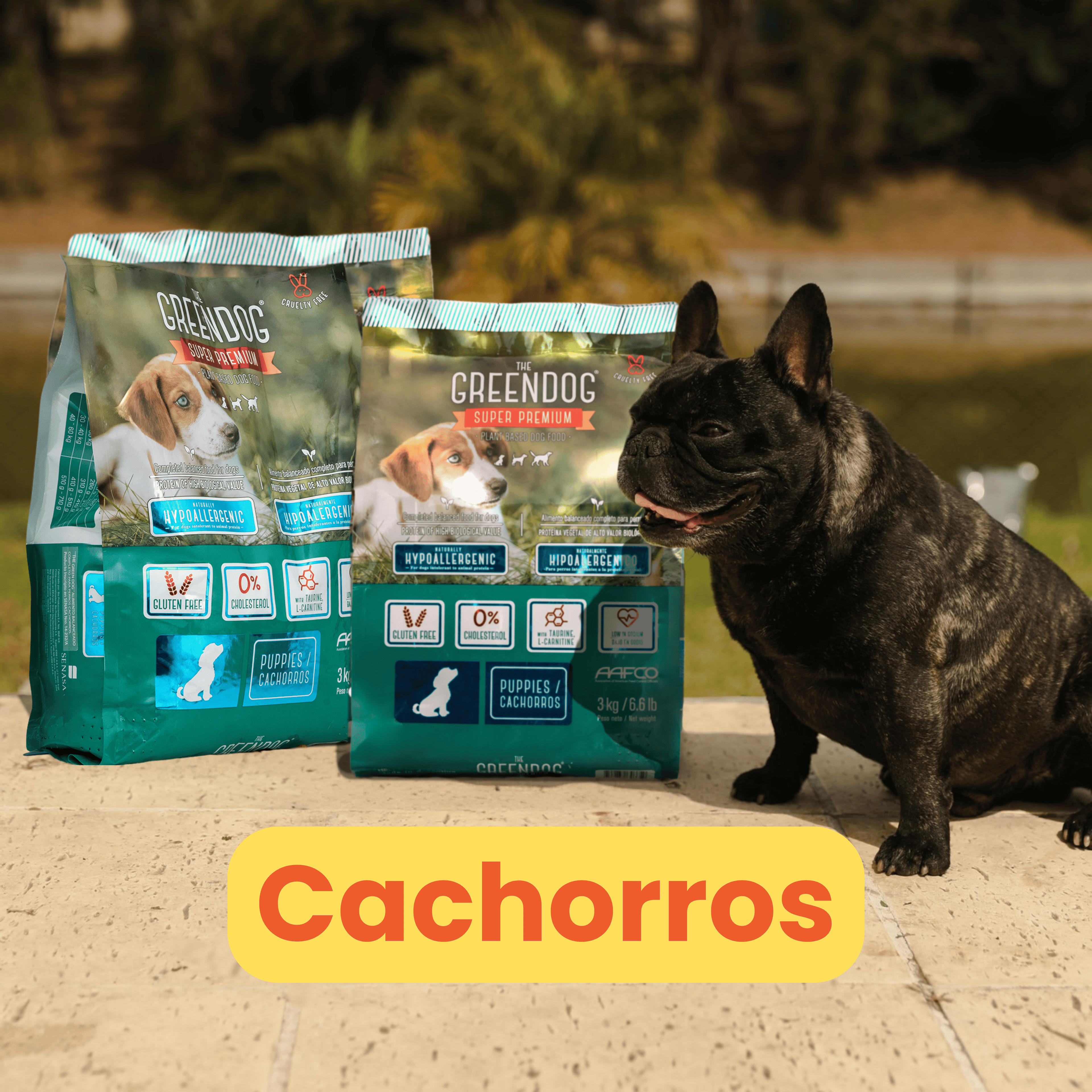 CACHORROS